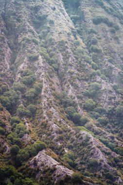 Bromo Dağı boyunca Dünya 'da Derin Korku