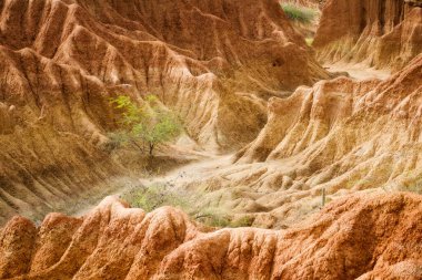 Güney Kolombiya 'daki Tatacoa Çölü