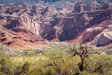 Kuzey Arjantin 'in Salta Bölgesinde Cafayate