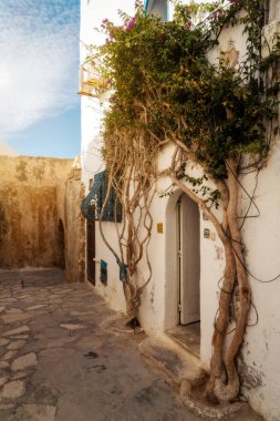 Sidi Bou Said Tunus 'ta (Metin der ki: Allah' ın adıyla, dünya Tanrı ile barış içindedir.)