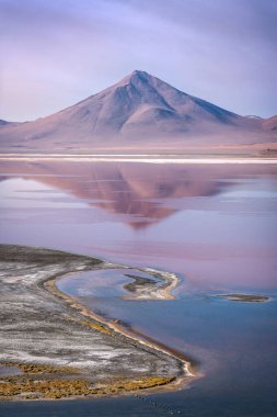 Lipez Sur Bolivya 'da Laguna Colorada