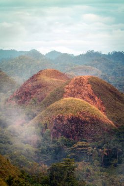çikolata hills bohol Filipinler