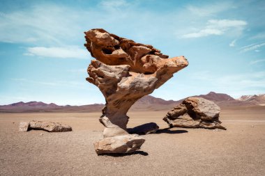 Rock Tree Arbol de Piedra in Bolivia clipart