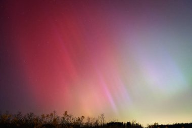 Tarlalar ve Ağaçlar Üzerinde Kuzey Işıkları