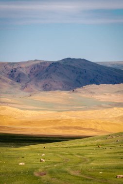 Orta Moğolistan 'daki Gobi Çölü ve Gölleri