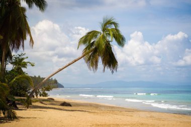 Dominik Cumhuriyeti 'ndeki Turkuaz Beyaz Plajı