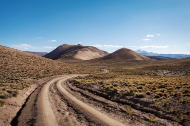 Altiplano Bolivya 'da nehir ve yol