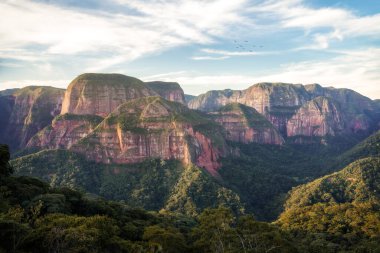 Amboro Ulusal Parkı, Bolivya 'daki Amazon Ormanı