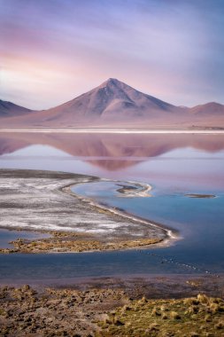 Lipez Sur Bolivya 'da Laguna Colorada