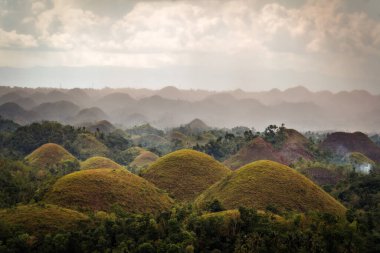 çikolata hills bohol Filipinler