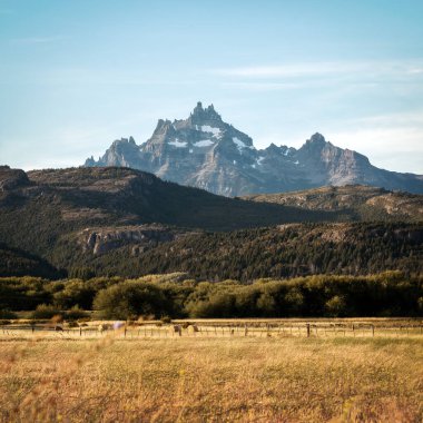Patagonya 'da Arjantin' de Günbatımında Altın Tarlalar