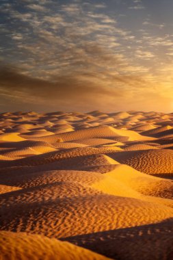 Tunesya 'da Sahra Çölü Günbatımı ve Yolu