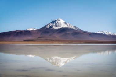 Bolivya 'daki Altiplano' da Laguna