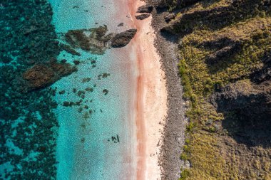 Pink Beach on Padar Island Indonesia clipart