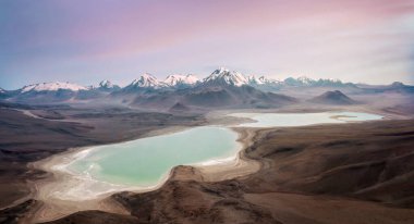 Bolivya 'daki Altiplano' da Laguna