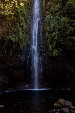 Vereda Maderia 'da yürüyüş yapan 25 yazı tipi