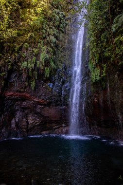 Vereda Maderia 'da yürüyüş yapan 25 yazı tipi