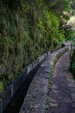 Vereda Maderia 'da yürüyüş yapan 25 yazı tipi