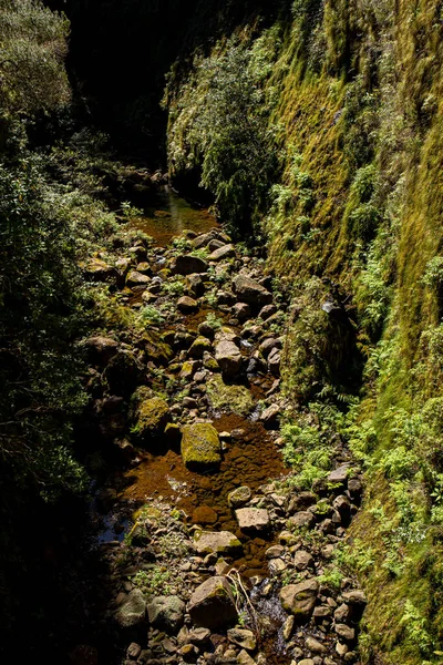 Vereda Das Fontes Hiking Maderia — стокове фото