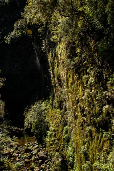 Vereda Das Fontes Wandern Auf Maderia — Stockfoto