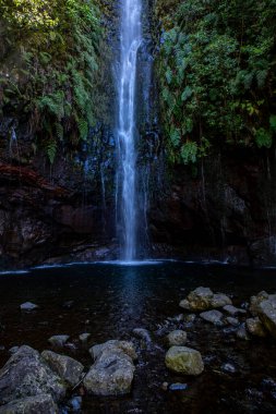 Vereda Maderia 'da yürüyüş yapan 25 yazı tipi