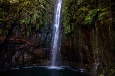 Vereda Maderia 'da yürüyüş yapan 25 yazı tipi