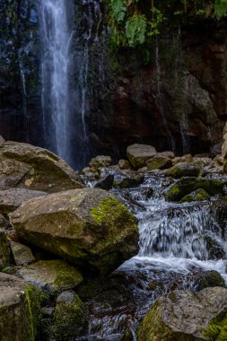 Vereda Maderia 'da yürüyüş yapan 25 yazı tipi