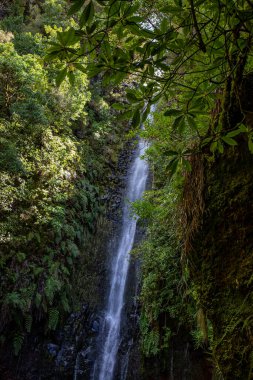 Vereda Maderia 'da yürüyüş yapan 25 yazı tipi