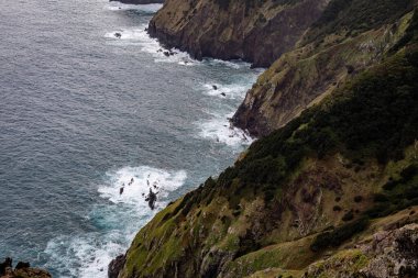 Vereda Larano yürüyüş parkurunda, Madeira