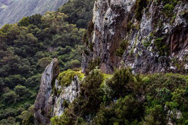 Vereda Larano yürüyüş parkurunda, Madeira