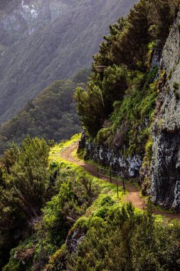 Vereda Larano yürüyüş parkurunda, Madeira