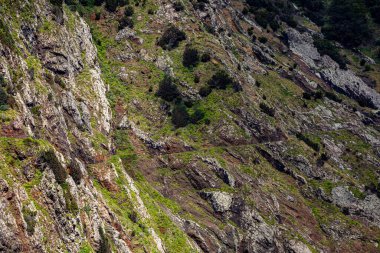 Vereda Larano yürüyüş parkurunda, Madeira