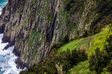 Vereda do Larano hiking trail, Madeira clipart