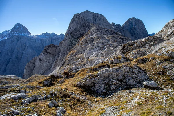 Ibex Alpino Foto Tomada Los Alpes Julianos Eslovenia — Foto de Stock