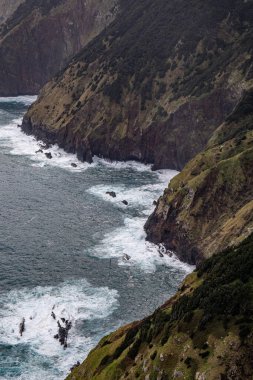 Vereda Larano yürüyüş parkurunda, Madeira