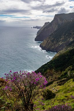 Vereda Larano yürüyüş parkurunda, Madeira