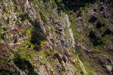 Vereda Larano yürüyüş parkurunda, Madeira
