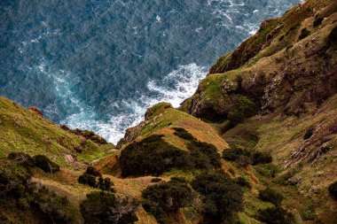 Vereda Larano yürüyüş parkurunda, Madeira
