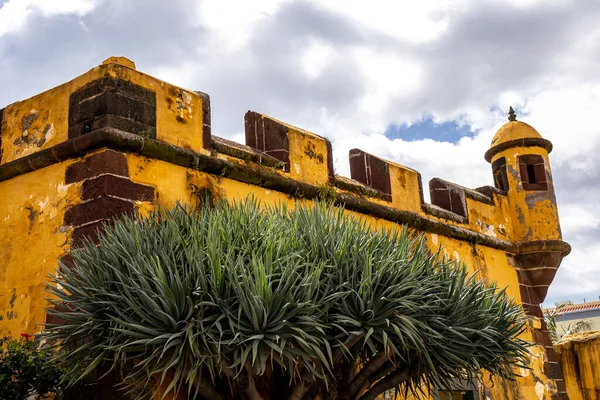 stock image Funchal capital city on Madeira island