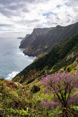 Vereda Larano yürüyüş parkurunda, Madeira