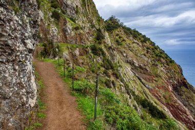 Vereda Larano yürüyüş parkurunda, Madeira