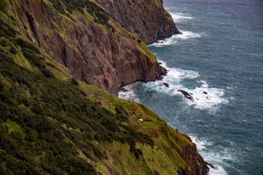 Vereda Larano yürüyüş parkurunda, Madeira