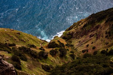 Vereda Larano yürüyüş parkurunda, Madeira