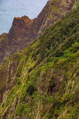 Vereda Larano yürüyüş parkurunda, Madeira