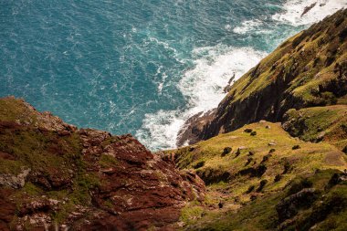 Vereda Larano yürüyüş parkurunda, Madeira