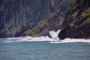 Vereda Larano yürüyüş parkurunda, Madeira