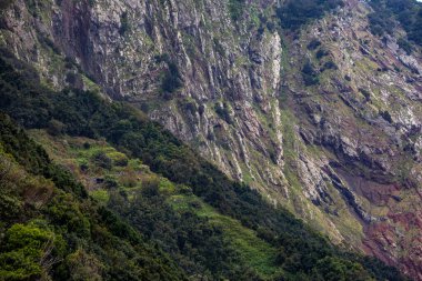Vereda Larano yürüyüş parkurunda, Madeira