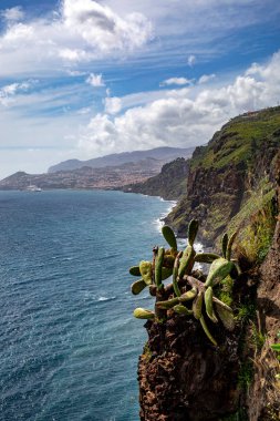 Portekiz 'in Madeira adasındaki sahil şeridi.