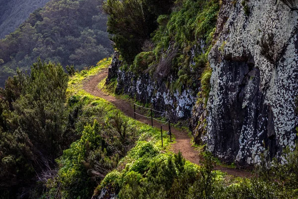 Vereda Larano Vandringsled Madeira Royaltyfria Stockfoton