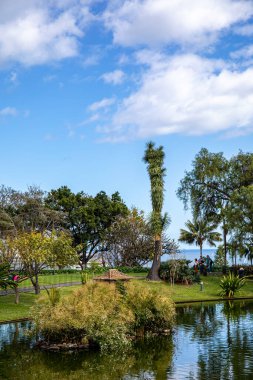 Madeira adasındaki Funchal başkenti